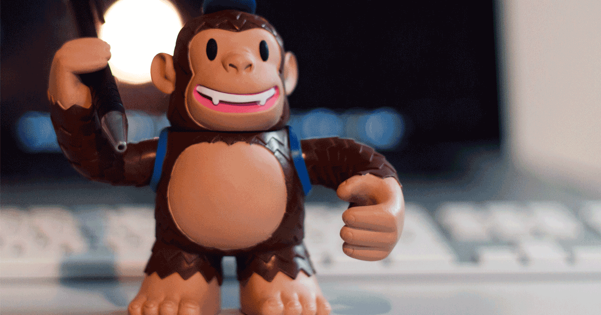mailchimp newsletter