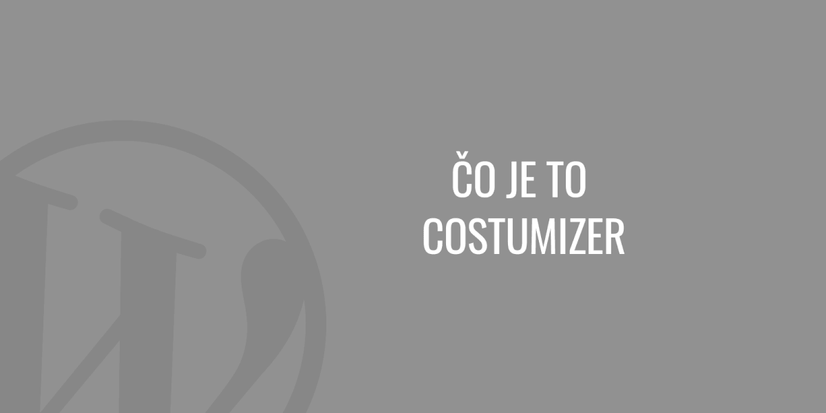 Čo je to costumizer