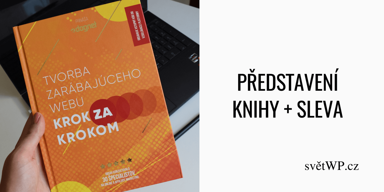 Kniha Tvorba vydělávajícího webu krok za krokem [Predstavenie + Zľava]
